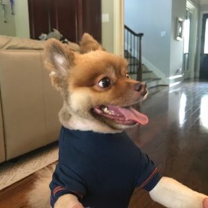 Meet your Posher, Ella